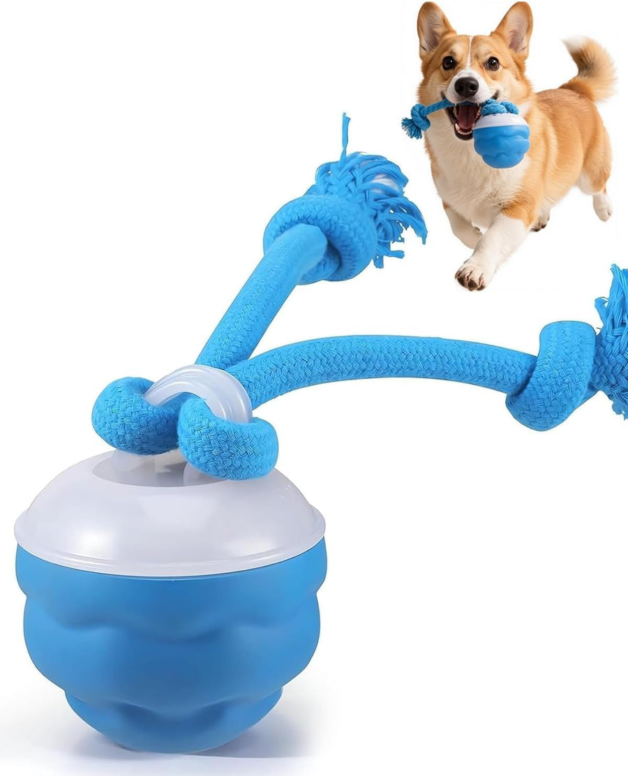 Premium Interactieve Hondenbal met Geluid | Speeltje