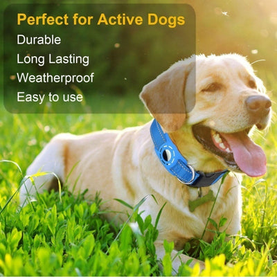 Cross-Border Reflective Adjustable Cat And Dog Anti-Lost Pet Collar