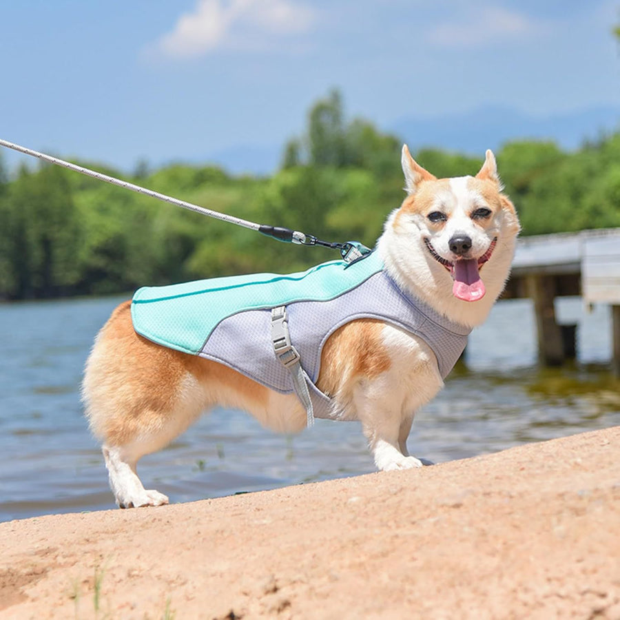 Ademende Zomerkledij voor Huisdieren - Licht & Comfortabel