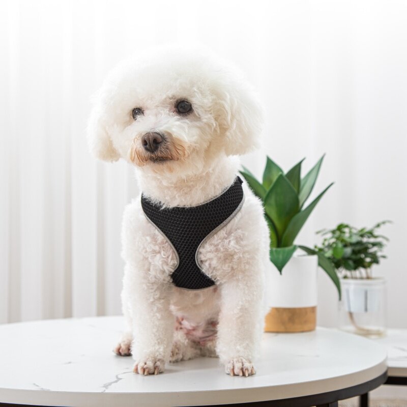 Premium Hondentuig Met Riem - Veilig & Comfortabel
