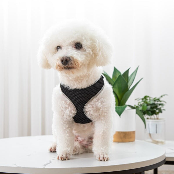 Pet Dog Walking Leash Vest-style Harness