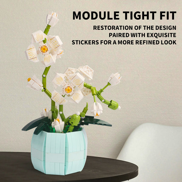 Orchidee Bonsai Bouwset – Botanisch Bloemen Bouwpakket
