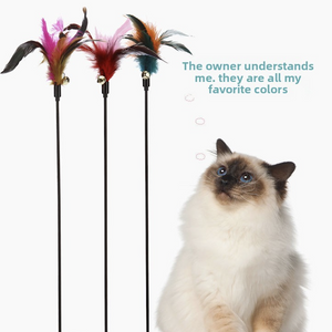 Kleurrijke Kattenhengel met Veren en Belletje – Interactief Speelgoed