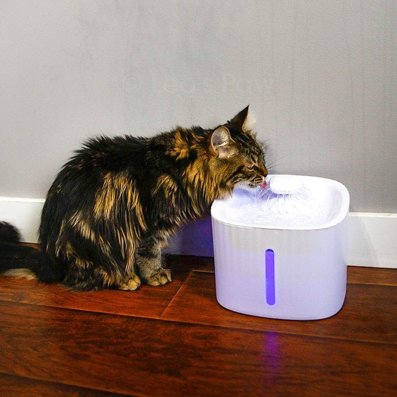 Automatische waterfontein huisdieren 2,5L filter